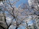 200803271.jpg