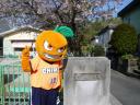2008040111.jpg