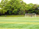 200805011.jpg