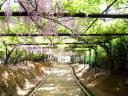 200805085.jpg