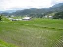 200806175.jpg