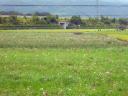 200808292.jpg